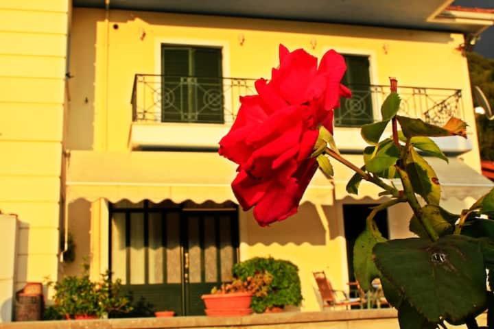 Guesthouse Bizani Neo Mpizani المظهر الخارجي الصورة